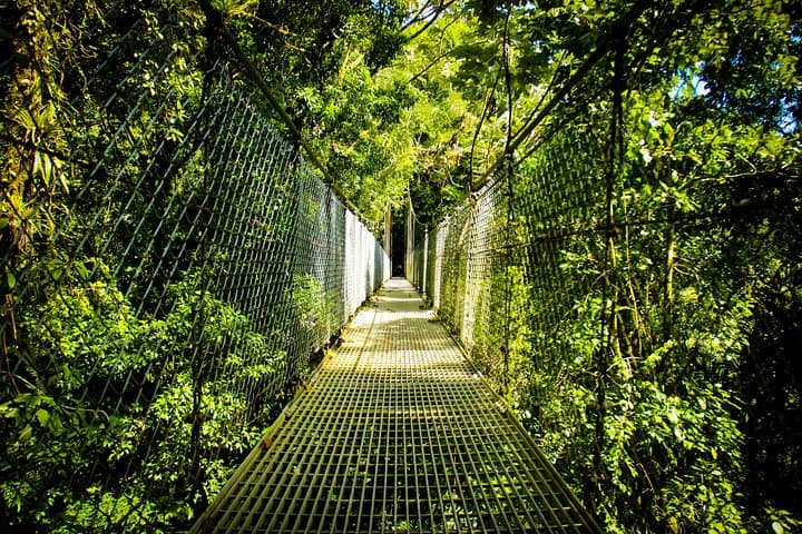 Mistico Hanging Bridges Park: La Fortuna Rainforest Walk Across 15 Bridges photo 2