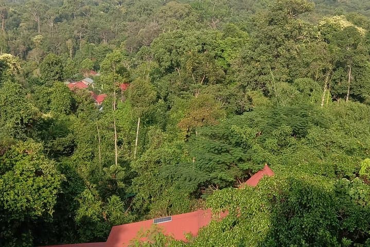 Phnom Kulen Private Day Tour: Waterfalls, Reclining Buddha & 1000 Lingas photo 5