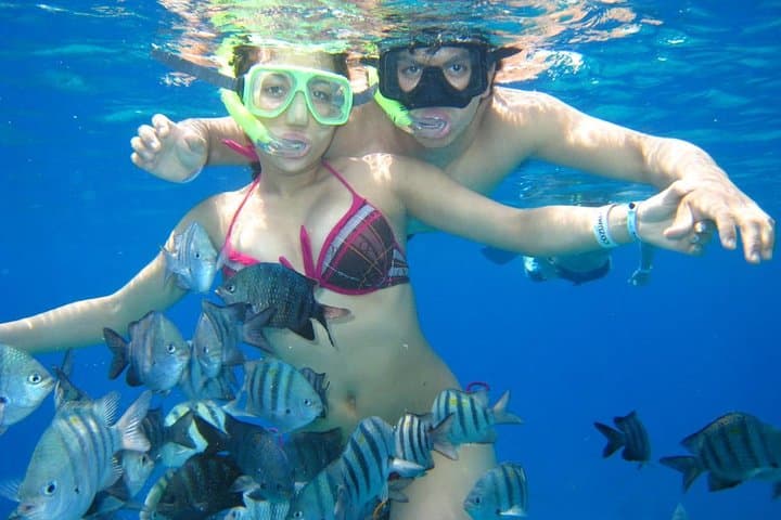 VIP Glass-Bottom Boat and Snorkeling: 3 Reefs in Cozumel photo 6