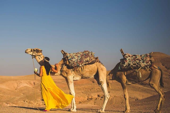 Marrakech Day Trip: Atlas Mountains, Imlil Valley & Agafay Desert Camel Ride photo 3