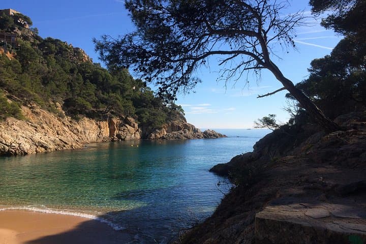 Hike the Costa Brava Camí de Ronda to Tossa de Mar — Day Trip from Barcelona photo 3