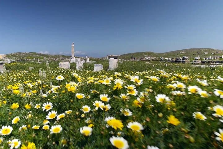 Half-Day Delos Archaeological Tour from Mykonos: Boat Ride, Ruins & Museum photo 4