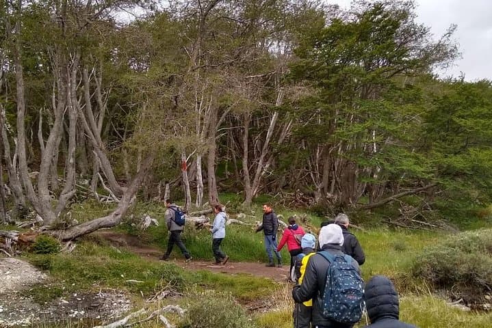 Trekking Laguna Esmeralda: Ushuaia Day Hike to the Emerald Lagoon photo 3