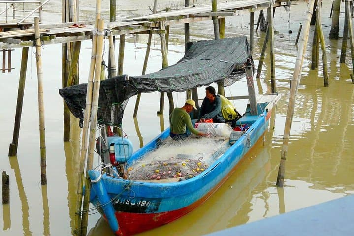 Kuala Selangor Night Safari: Silver‑Leaf Monkeys, Fireflies & River Dinner photo 3