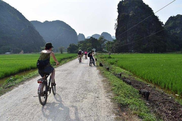 2-Day Ninh Binh Adventure: Trang An Boats, Mua Cave Views & Cuc Phuong Trek photo 4