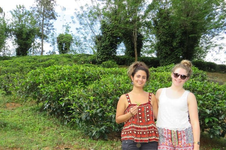Kandy to Nuwara Eliya Day Trip: Little England, Tea Plantations & Ramboda Falls photo 5