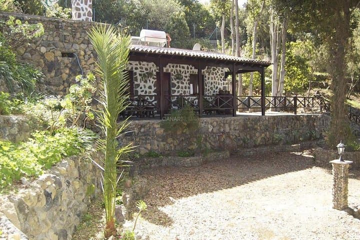 Mt Teide & Masca Valley Day Tour — Teide National Park, Icod, Garachico photo 6