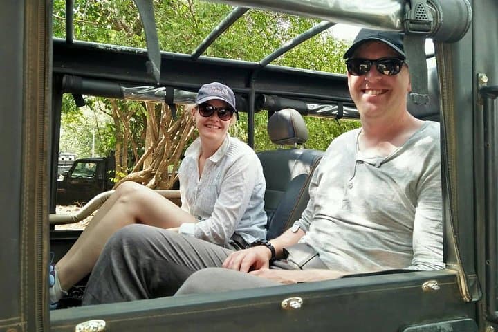 Private Sigiriya & Dambulla Day Tour from Kandy with Minneriya Safari and Lunch photo 4