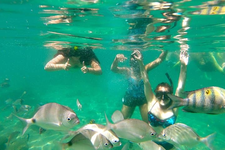 Schooner Cruise to Paraty Islands: Day Sail Through Costa Verde photo 4