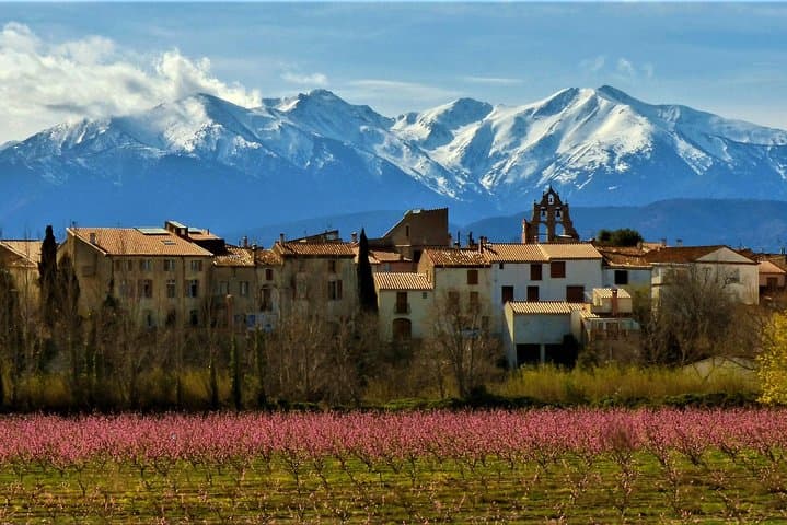 Private Pyrenees Tour from Barcelona: Cogwheel Train to Núria with Easy Guided Hike photo 2