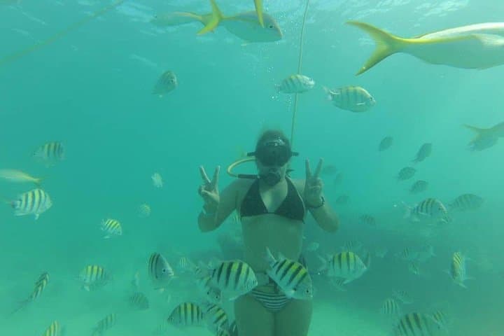 Power Shore Adventure: Catamaran Party, Snorkel & Parasail off Bávaro, Punta Cana photo 3