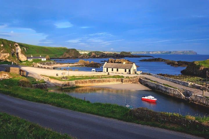 Giant's Causeway Full-Day Tour: Dark Hedges, Dunluce & Carrick-a-Rede photo 6
