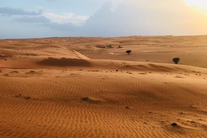 Wahiba Sands Overnight: Desert Camping and Wadi Adventures from Muscat