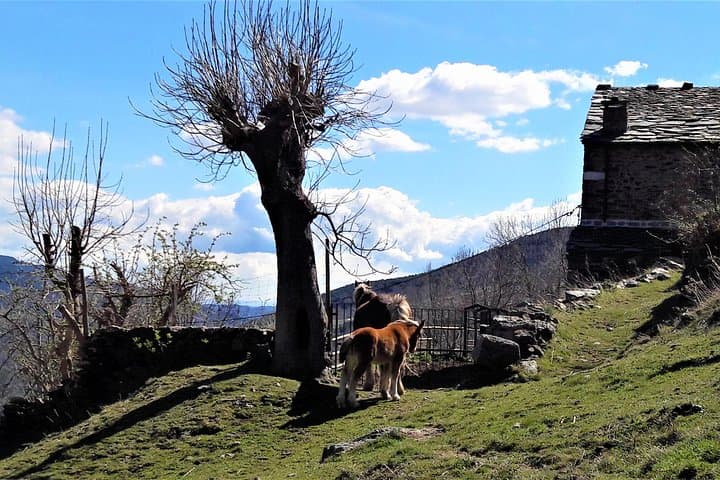 Private Pyrenees Tour from Barcelona: Cogwheel Train to Núria with Easy Guided Hike photo 3