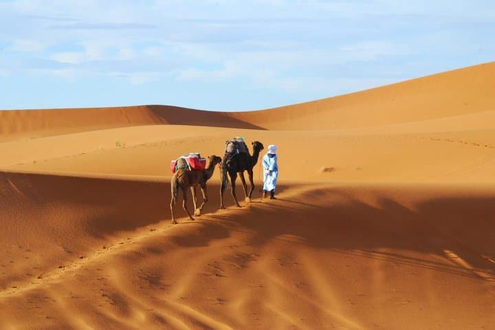 Fez to Merzouga in 2 Days: Erg Chebbi Camel Trek and Desert Camp photo 2