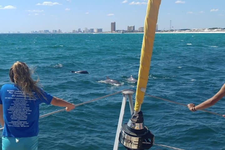 Footloose Dolphin Cruise in Panama City Beach – 90-Min Gulf Sightseeing photo 2