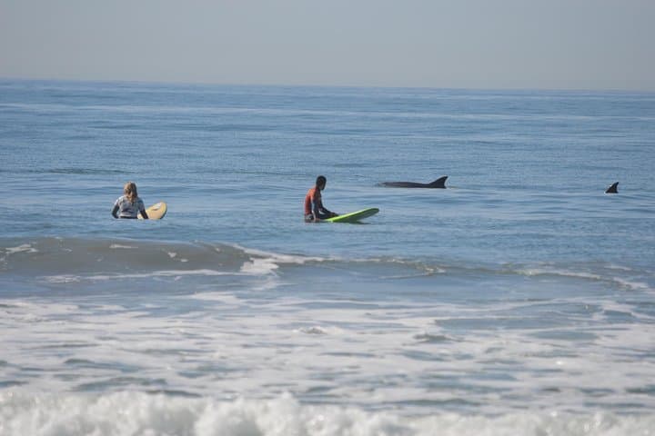 Learn to Surf in Pismo Beach: Sandbar Surf School Beginner Lessons photo 3