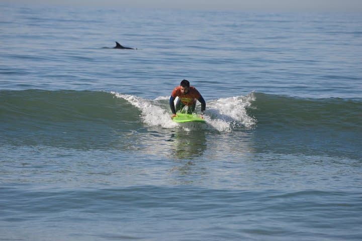 Learn to Surf in Pismo Beach: Sandbar Surf School Beginner Lessons photo 4