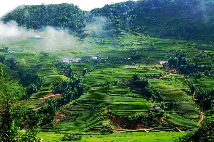 Mai Chau Full-Day Escape from Hanoi: Rice Fields, Thai Stilt Houses & Village Walk