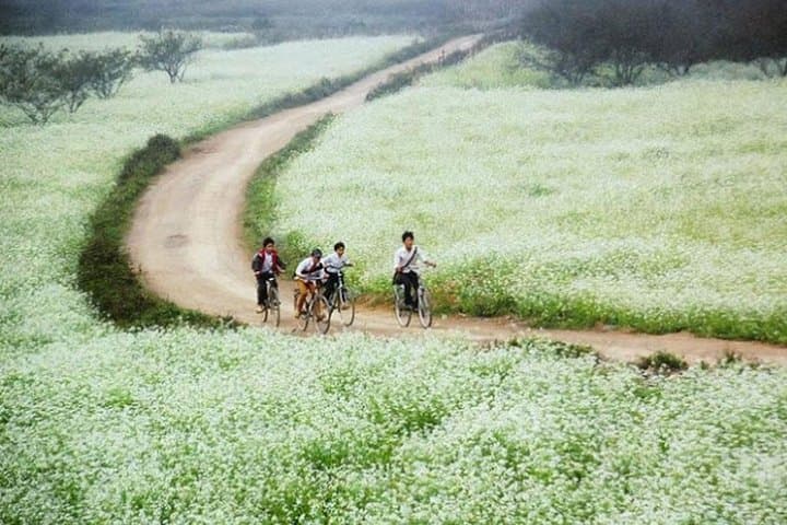 Mai Chau Full-Day Escape from Hanoi: Rice Fields, Thai Stilt Houses & Village Walk photo 4