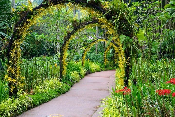 Singapore National Orchid Garden: Tickets, Tips & What to Expect photo 4