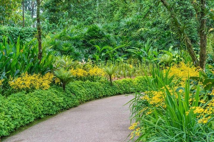 Singapore National Orchid Garden: Tickets, Tips & What to Expect photo 6
