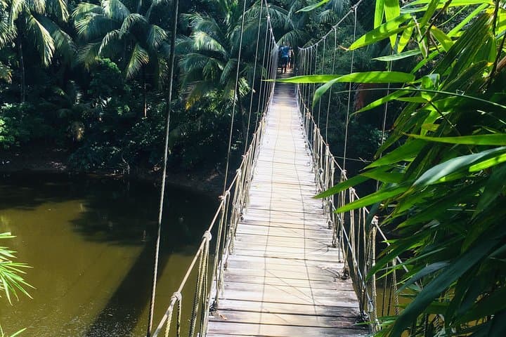 Gumbalimba Park Roatán: Capuchin Monkeys, Insectarium & West Bay Beach Day Trip photo 4