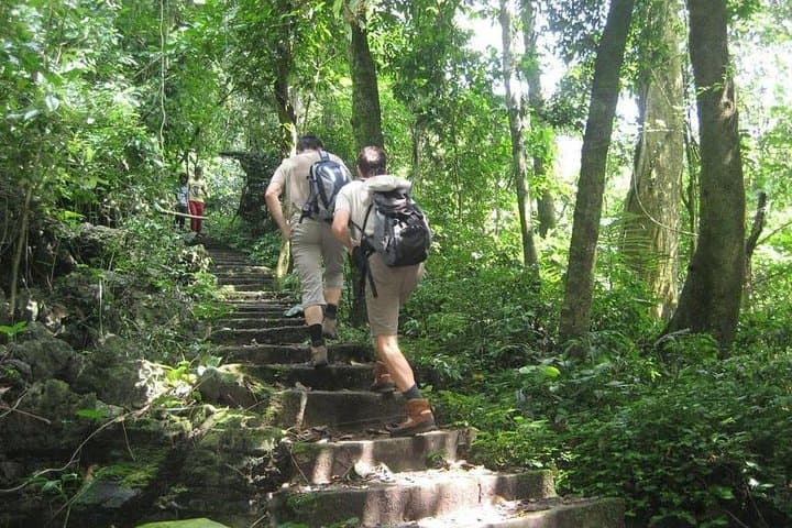 Cuc Phuong National Park Day Trip from Hanoi: Primate Rescue, Ancient Forest Trails photo 3