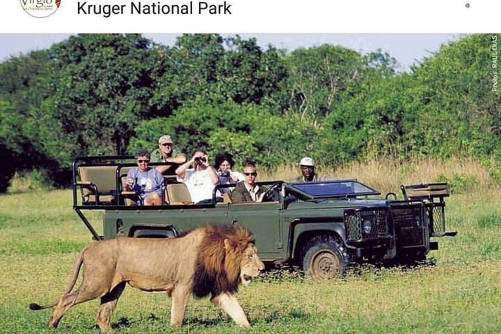 Johannesburg to Kruger: 5-Day History and Safari Package photo 3