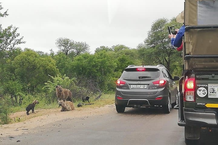 4-Day Kruger Safari & Panorama Route from Johannesburg — Big Five Game Drives photo 3