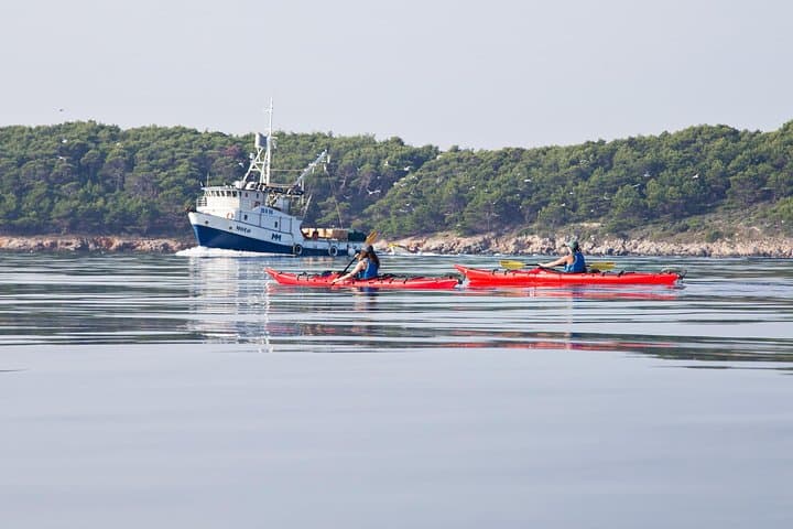 Zadar Archipelago Sea Kayaking: 3-Island Day Trip to Molat & Shipwreck photo 6