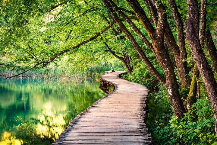 Private Day Trip to Plitvice Lakes from Split — Guided Tour of Croatia’s Cascading Lakes photo 4