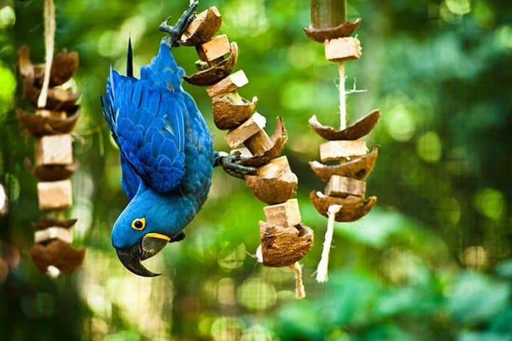 3-Day Private Resort Tour of Iguassu Falls — Brazil & Argentina photo 3