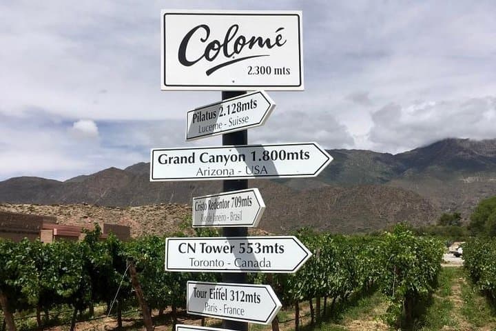 Luxury Colome Wine Tour: High‑Altitude Vineyards & James Turrell in Salta photo 4