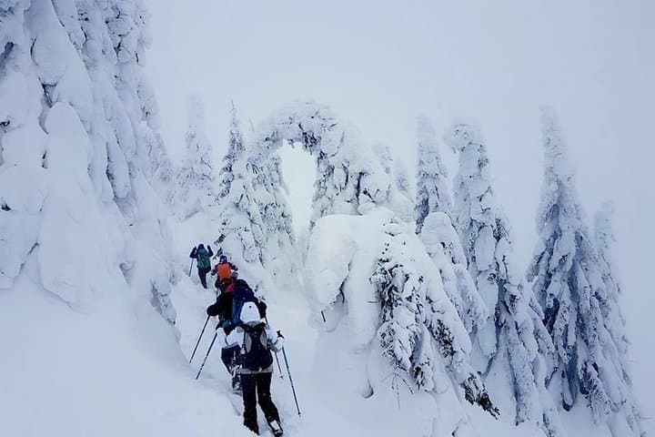 Day Trekking in Ciucas Massif: 700 m Ascent to 1,954 m Peaks from Bucharest photo 2