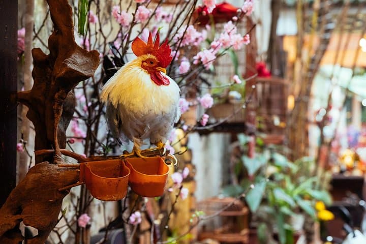 Hanoi Old Quarter Private Walking Tour: Highlights & Hidden Gems with a Local Guide photo 4