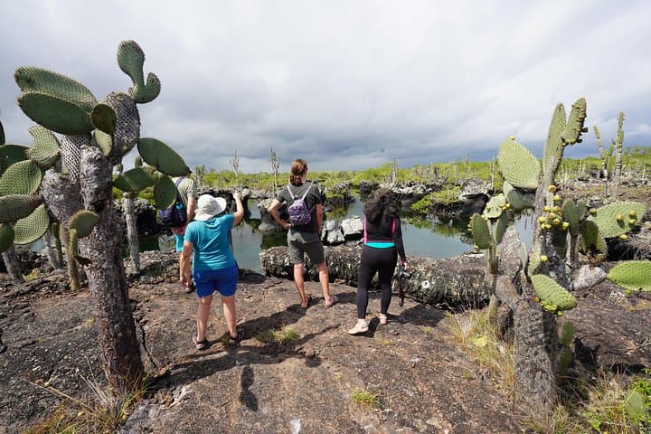 Best of Galapagos: 7-Day Island-Hopping Snorkel & Sierra Negra Hike photo 4