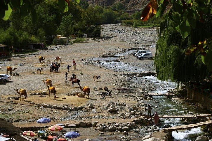 Ourika Valley Atlas Mountains Day Trip with Camel Ride from Marrakech photo 4