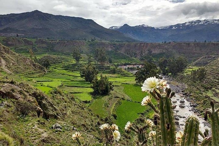 Colca Canyon Overnight from Arequipa — Horseback Ride, Cruz del Condor & Yanque photo 3