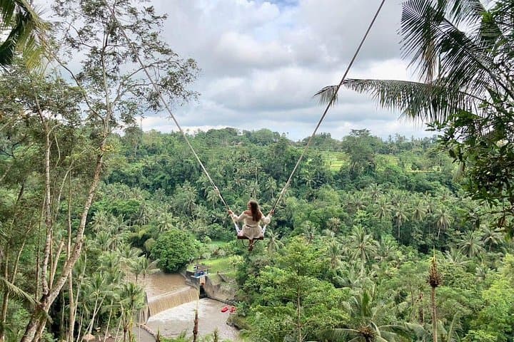 Ubud Jungle Swing & Cultural Day Tour — Monkey Forest, Art Villages & Tegenungan Waterfall photo 3
