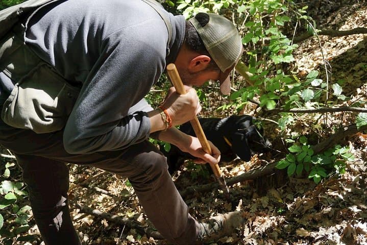 Private Truffle Hunt in Chianti from Florence — Dog-Led Foraging & Tuscan Lunch photo 4