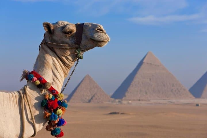 Evening Nile Dinner Cruise in Cairo — Live Music, Belly Dance & River Views photo 5