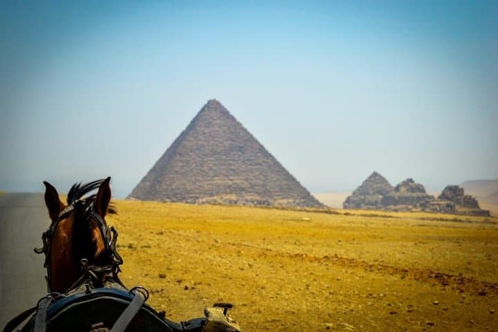 Evening Nile Dinner Cruise in Cairo — Live Music, Belly Dance & River Views photo 6