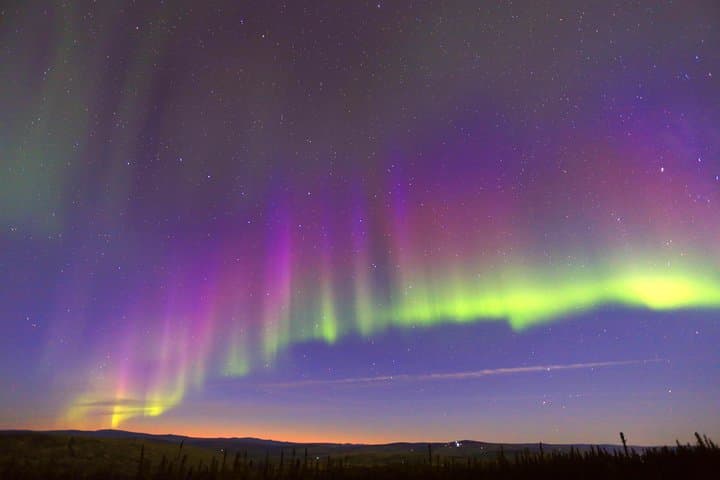 Fairbanks Northern Lights & Dog Sledding Tour with Cabin Dinner photo 3