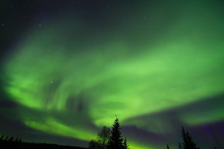 Cross the Arctic Circle: Northern Lights Day Trip from Fairbanks photo 6