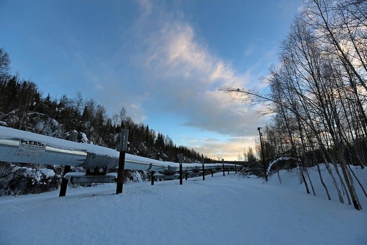 Cross the Arctic Circle: Northern Lights Day Trip from Fairbanks photo 5