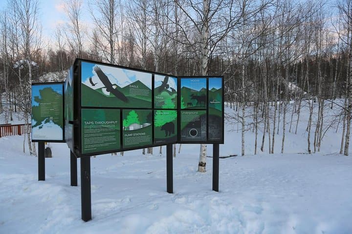 Cross the Arctic Circle: Northern Lights Day Trip from Fairbanks photo 4