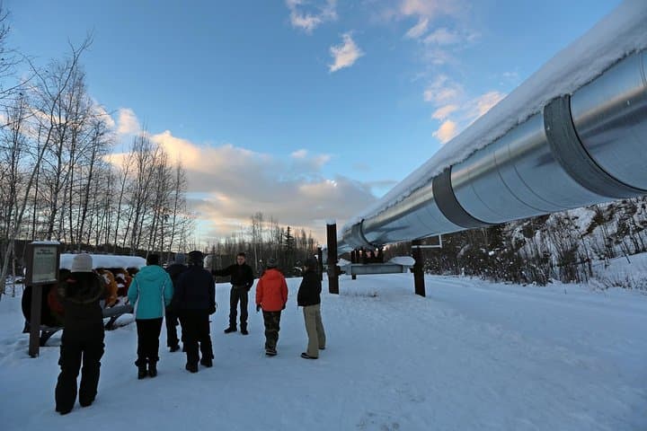 Cross the Arctic Circle: Northern Lights Day Trip from Fairbanks photo 3