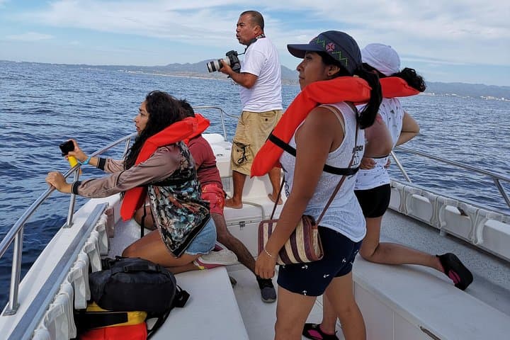Whale Encounter Puerto Vallarta: Small-Boat Marine Mammal Tour in Banderas Bay photo 5