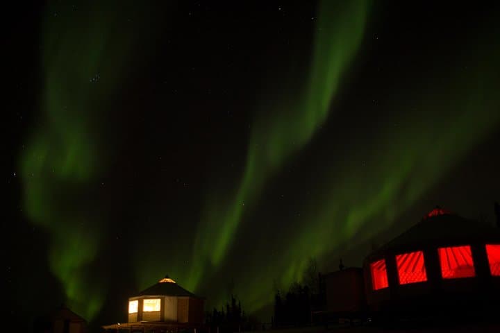 Fairbanks Northern Lights & Dog Sledding Tour with Cabin Dinner photo 5